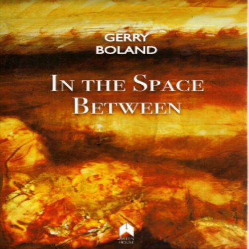 In The Space Between by Gerry Boland Boyle Craft Shop