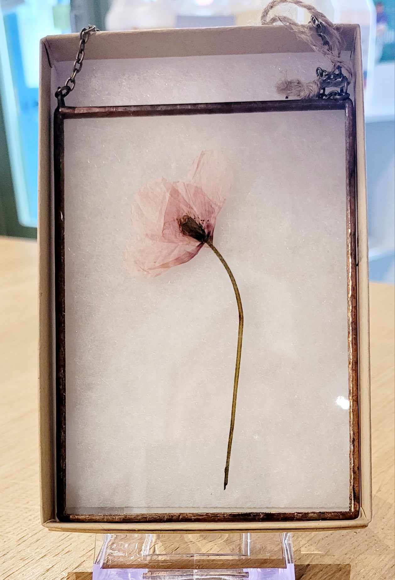 Pressed Flower Frame by Wildbird Studio