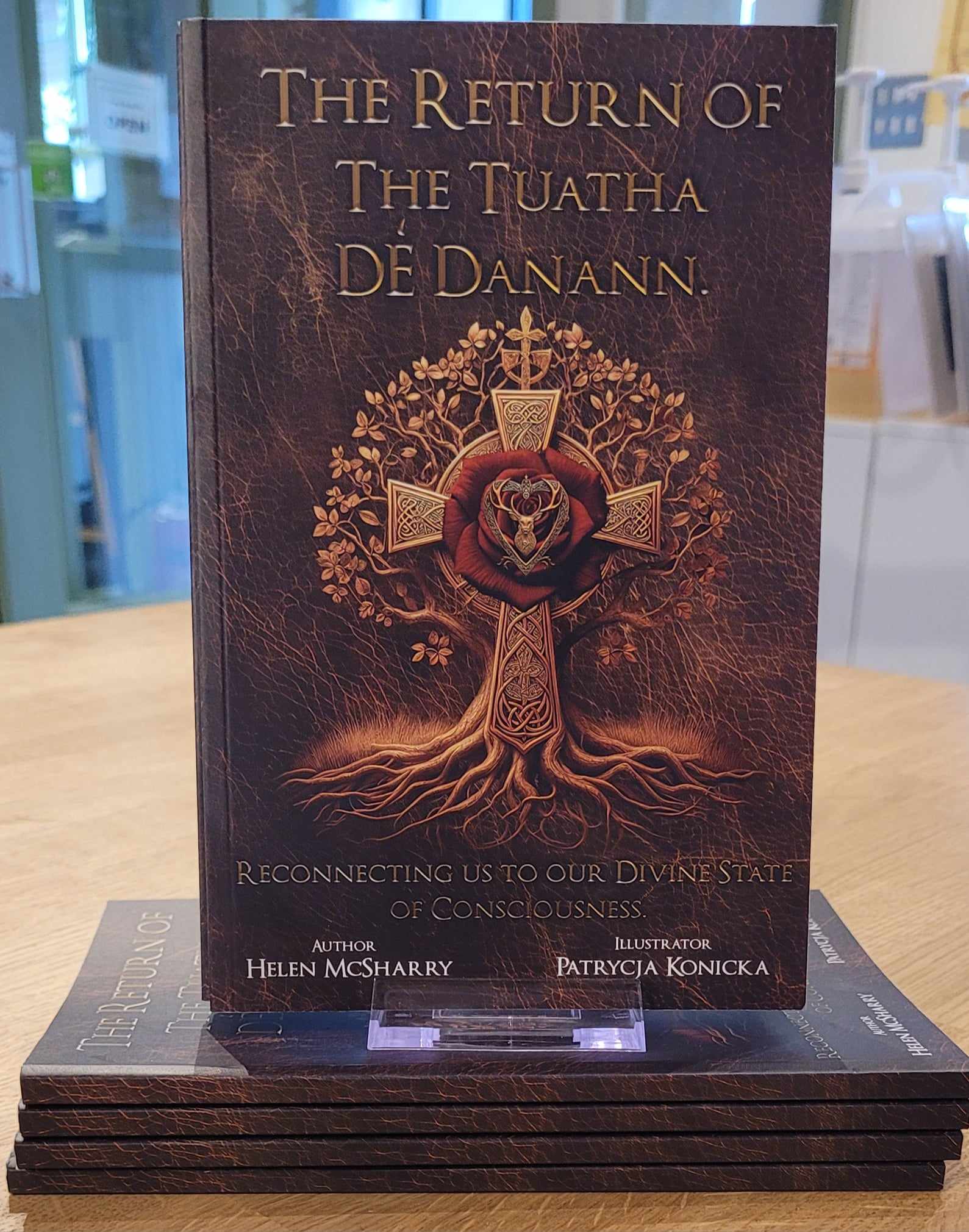 The Return of The Tuatha Dé Danann by Helen McSharry