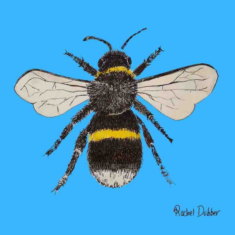 Single Bee / Bumbóg Card