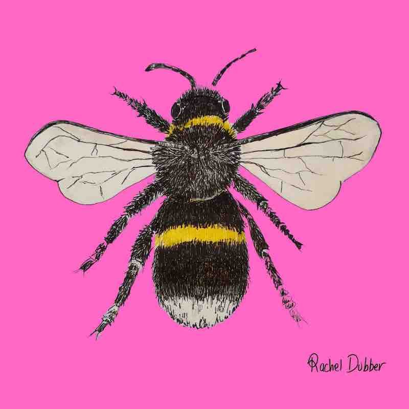 Single Bee / Bumbóg Card