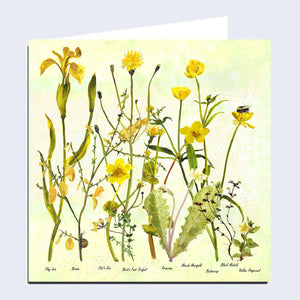 Wildflowers 'The Yellows' Greeting Card
