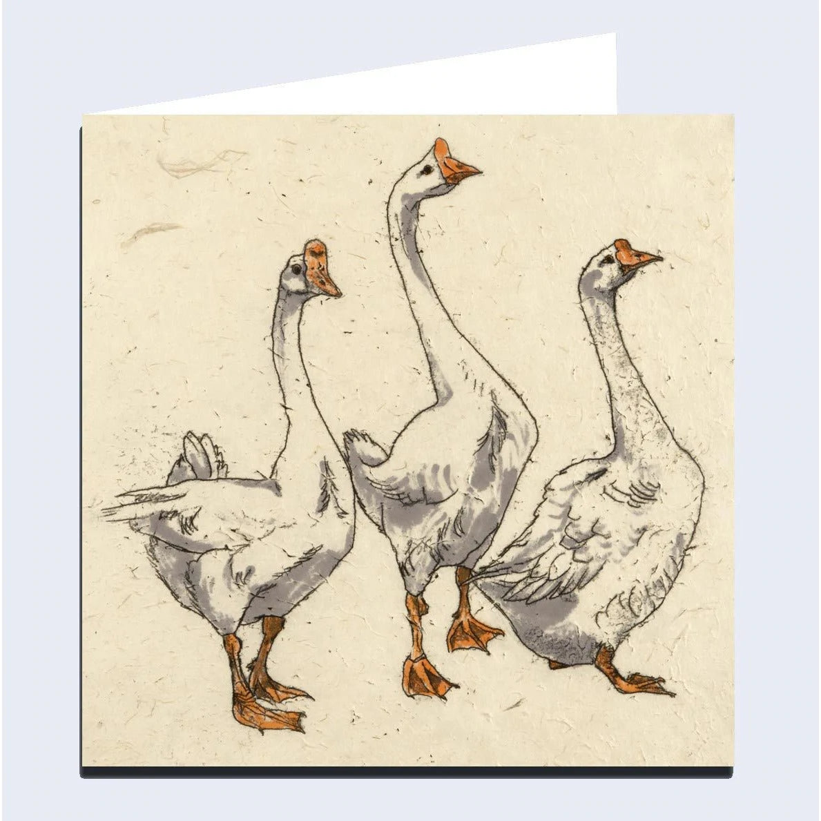 'Three Geese' Greeting Card