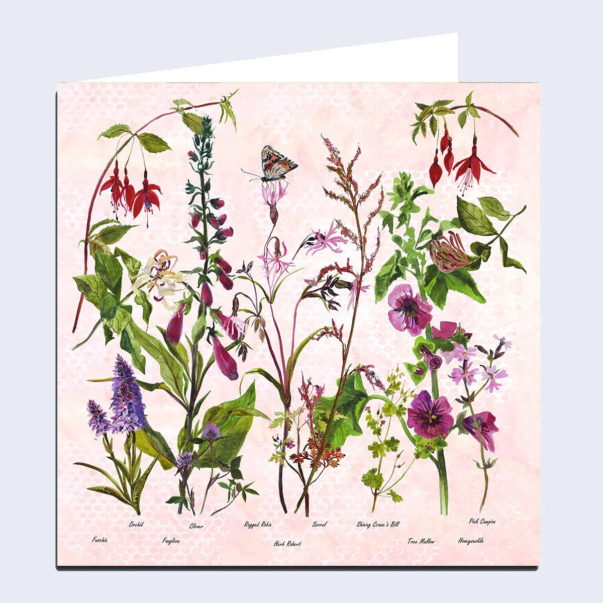 Wildflowers 'The Pinks' Greeting Card